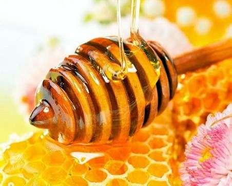 Propiedades terapéuticas de la miel