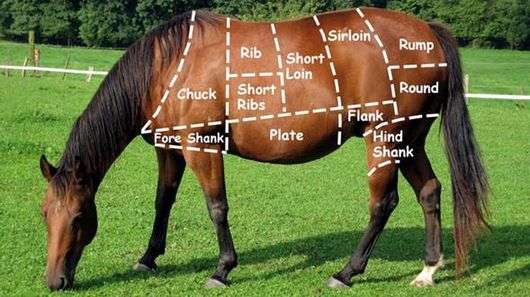 Carne de caballo