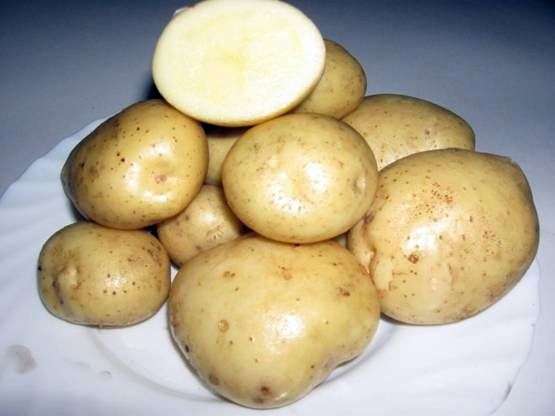 Variedad de patata Nevsky