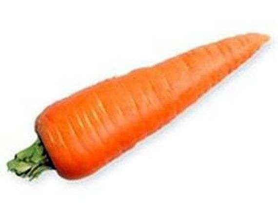 Zanahoria creciendo y cuidando