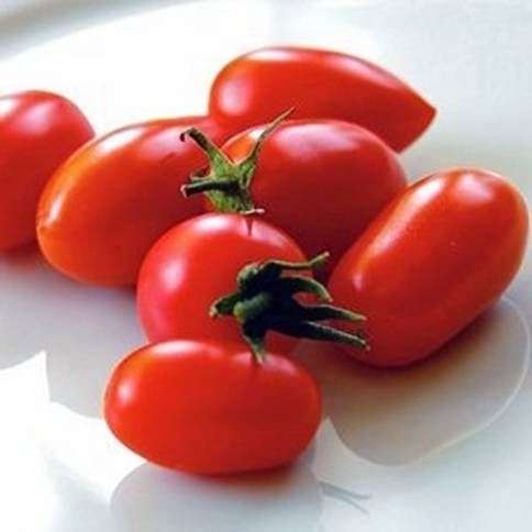 Variedad de tomate Caspar