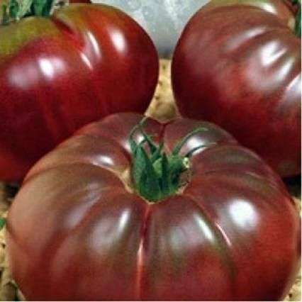 Variedad de tomate sandía