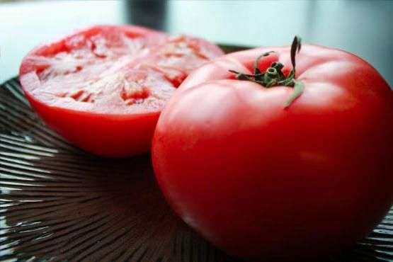 Variedad de tomate Ultra erupción