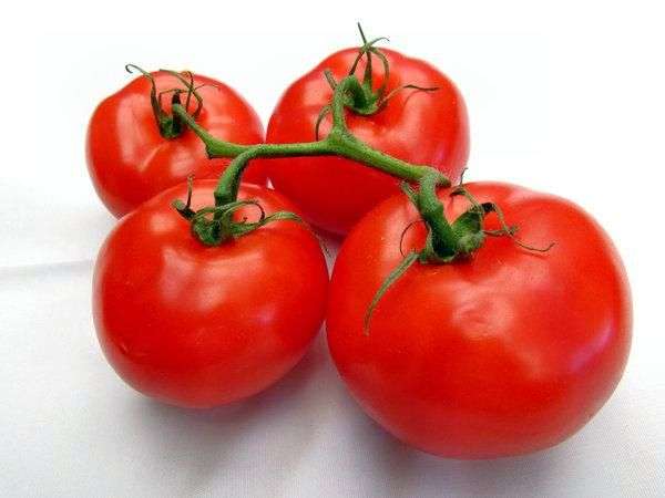 Variedad de tomate Ultra erupción